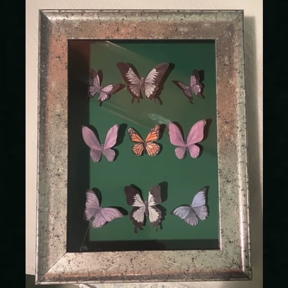 NEW ORIGINAL CUSTOM BUTTERFLY DISPLAY CASE ORDERS - Picture 5 of 6